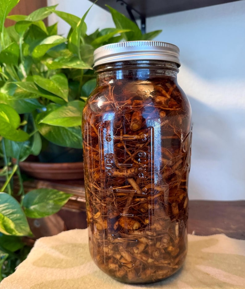 Ashwagandha Elixir | Sacred Balance image 1
