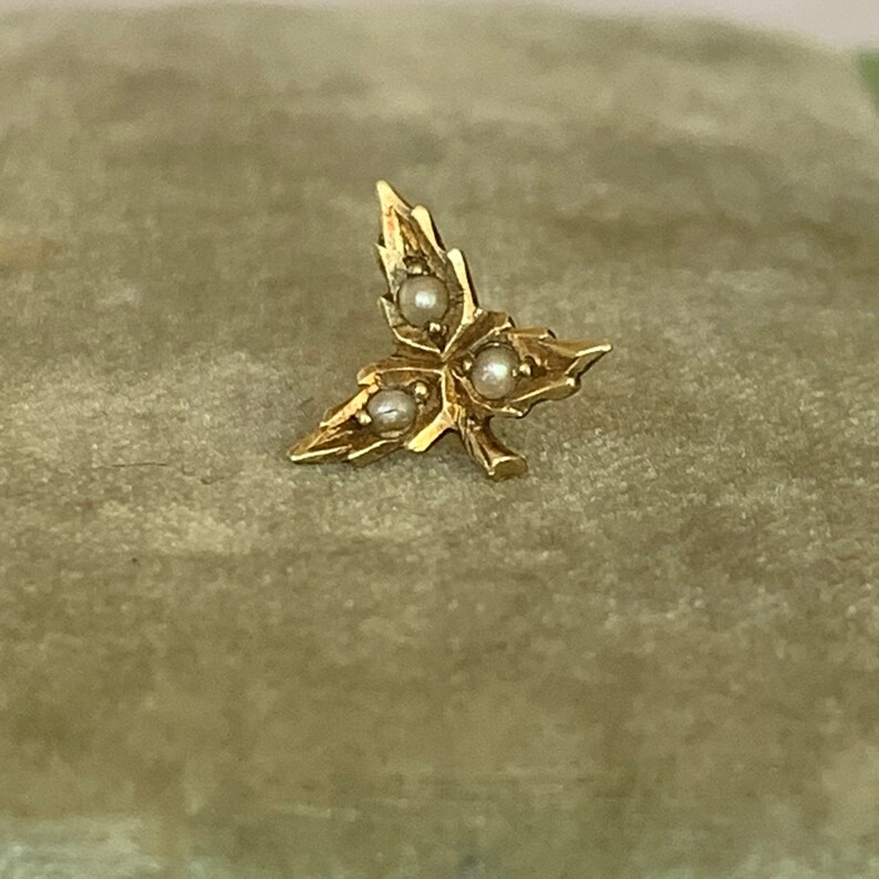 Antico 14K Oro Giallo & Seme Perla Vie D'Ermaglia Trefoil Singolo Stud Orecchino