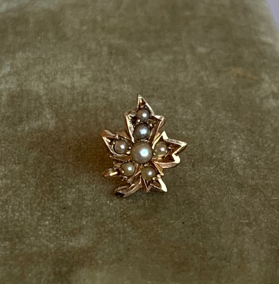Antique 10K Gold & Seed Pearl Maple Leaf Single St