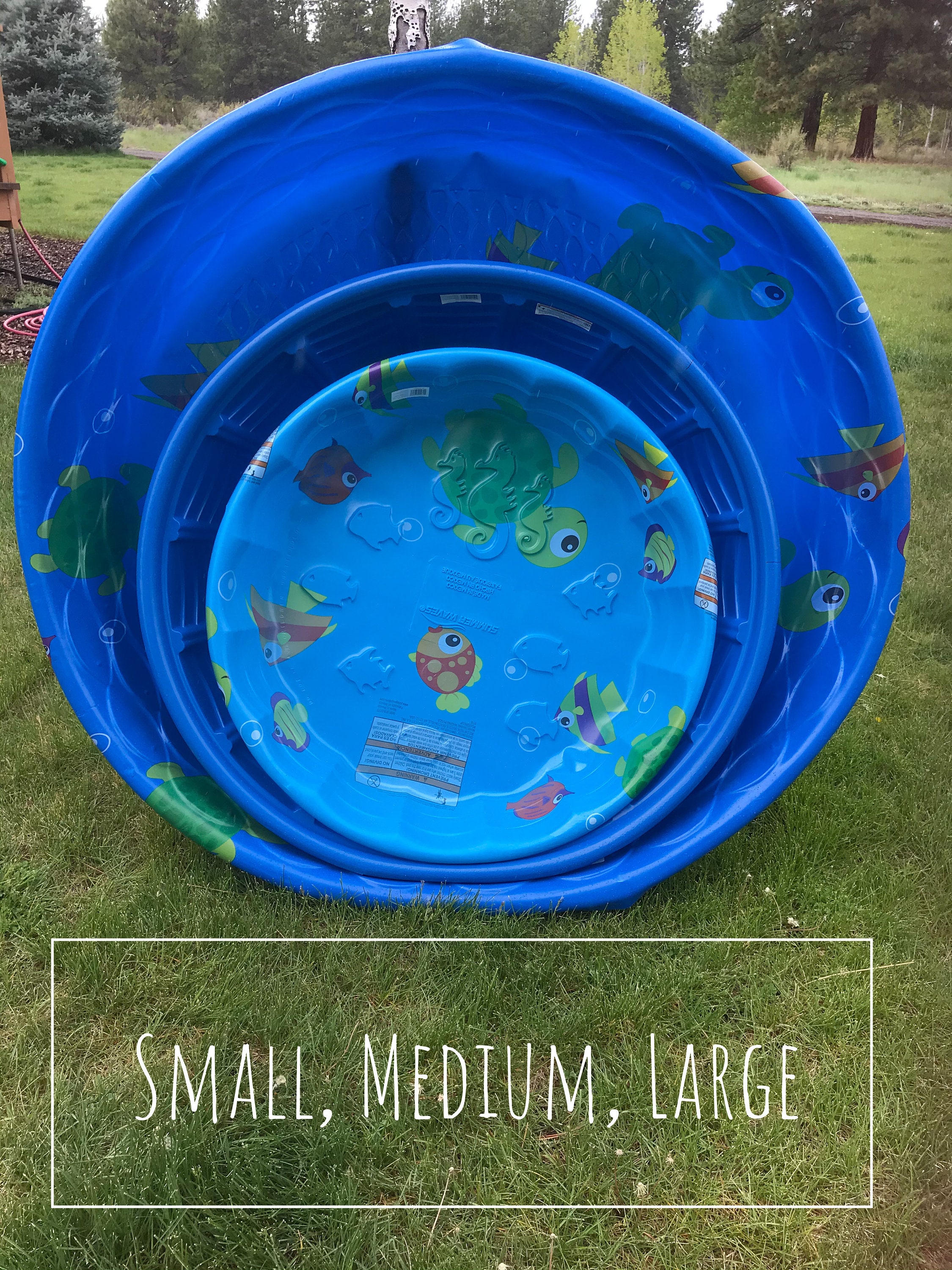 Dollar Tree Dollar General Kiddie Pool Kiddie Pool Dollar Tree