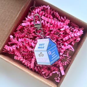 Oat Milk Carton Keyring | Plant Based Vegan Cute Retro Blue Pink Dairy Gift