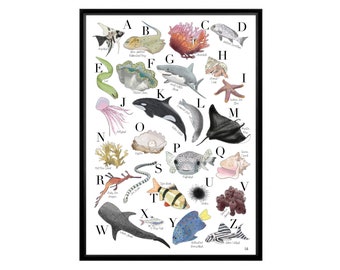 A Z Of Fish Etsy