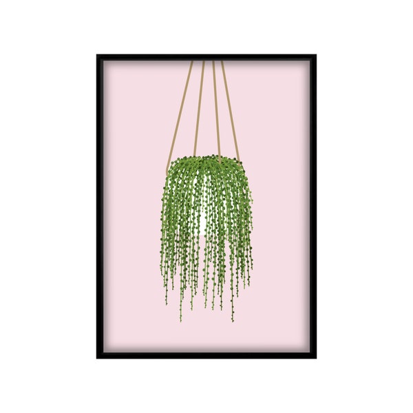 String of Pearls Senecio Rowleyanus Botanical Tropical Leaf Plant Wall Art Green Pink White Blue Dalmatian Tortoiseshell