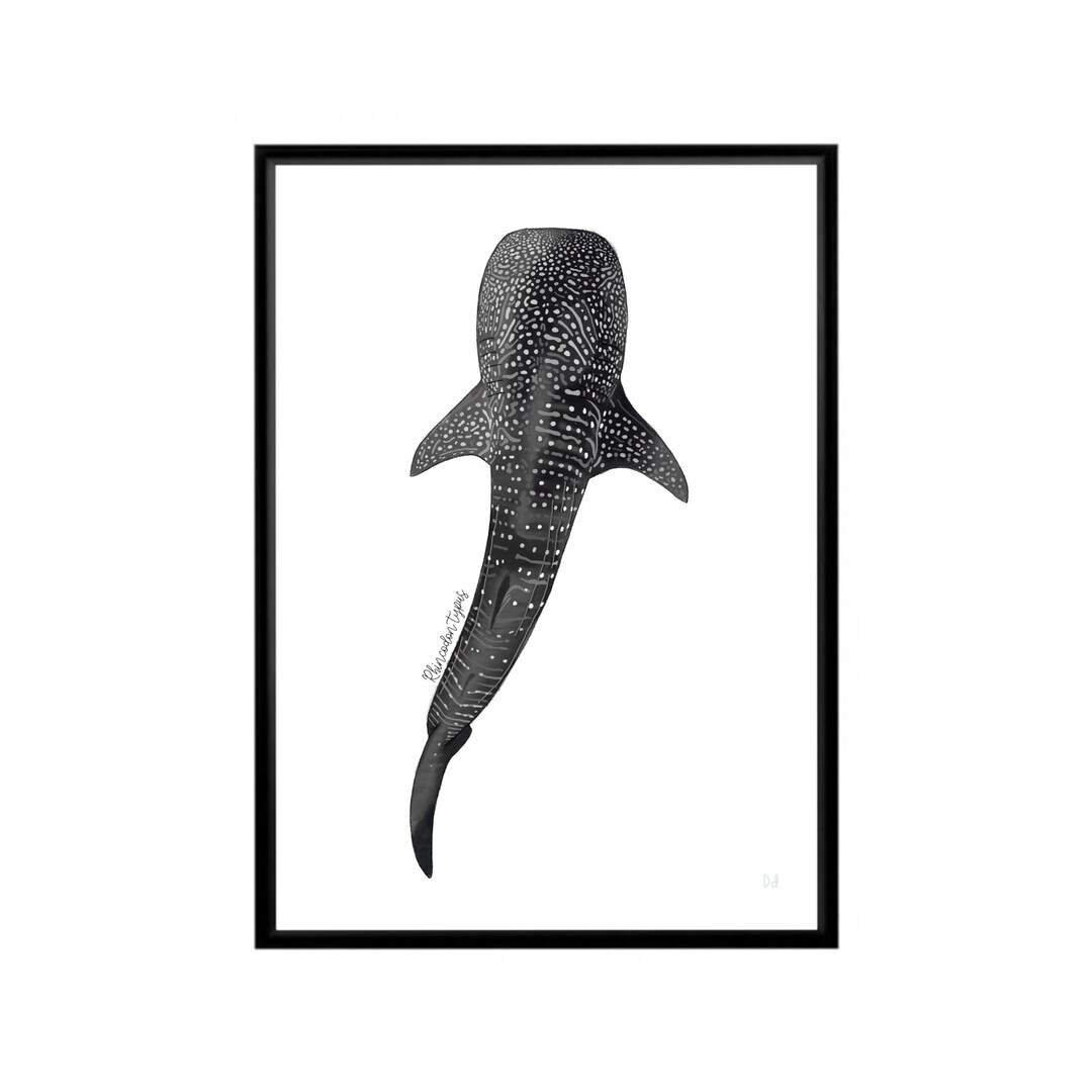 Whale Shark Illustration Watercolour Style Wall Art Print - Etsy UK