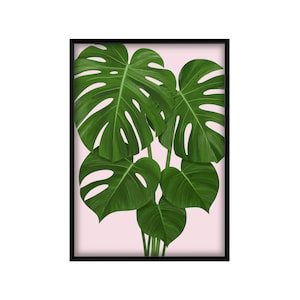 Monstera Deliciosa Botanical Tropical Jungle Leaf Plant Print Wall Art Green Pink White Blie