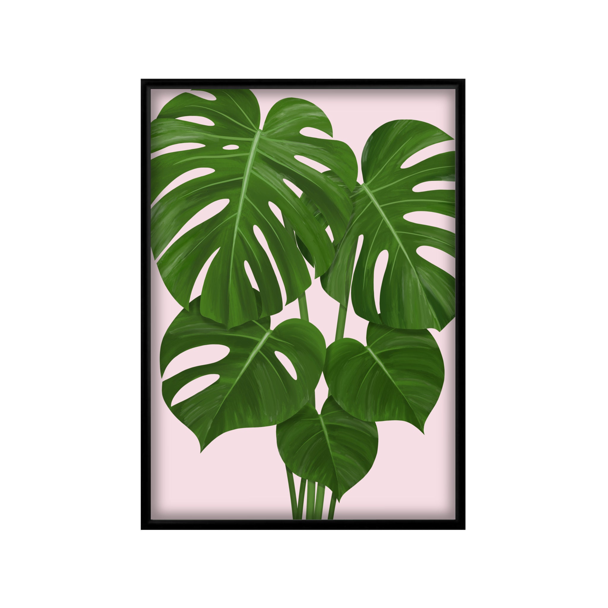 Monstera Deliciosa Botanical Tropical Jungle Leaf Plant Print - Etsy.de