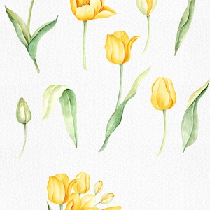 Spring Yellow Tulip Watercolor Clip Art/ Yellow Tulip png/ Floral Clipart/ Botanical Clipart/ Watercolor Flowers Bouquet image 3