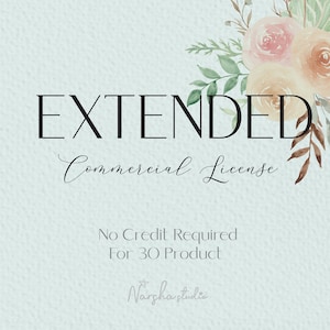 Extended Commercial License for Clip Art or Digital Paper pack - For 30 product - Unlimited Use - No credit required