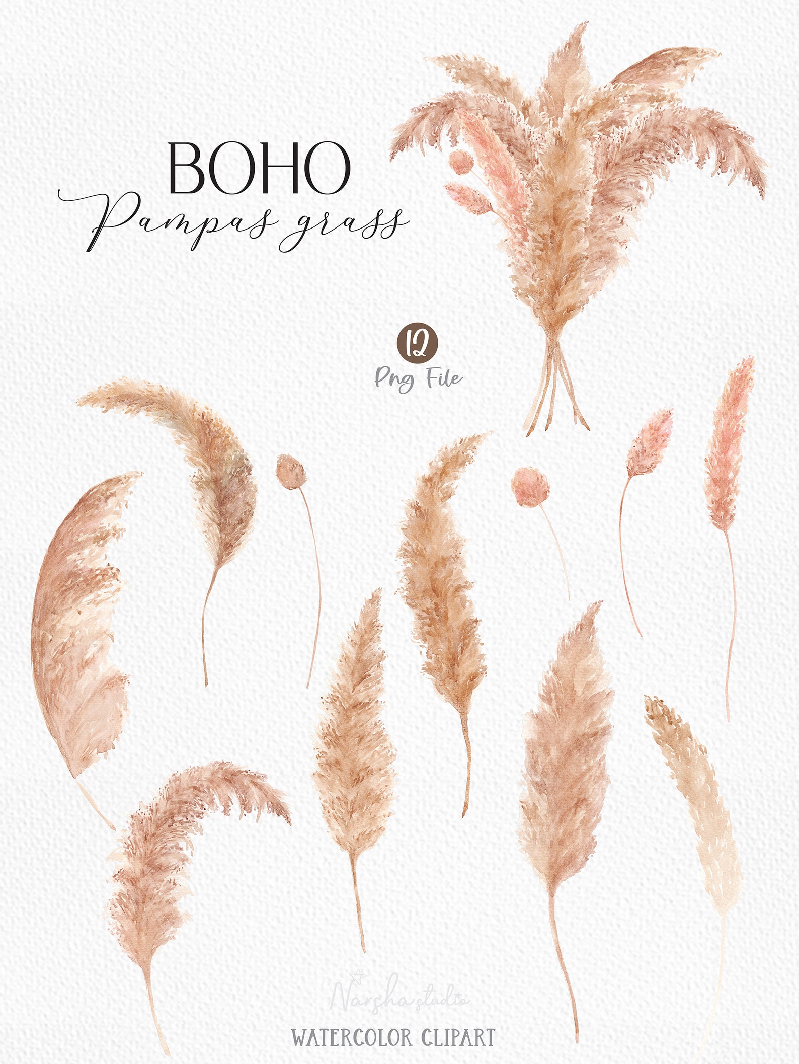 Pampas Grass Watercolor Clip Art. Watercolor pampas grass | Etsy