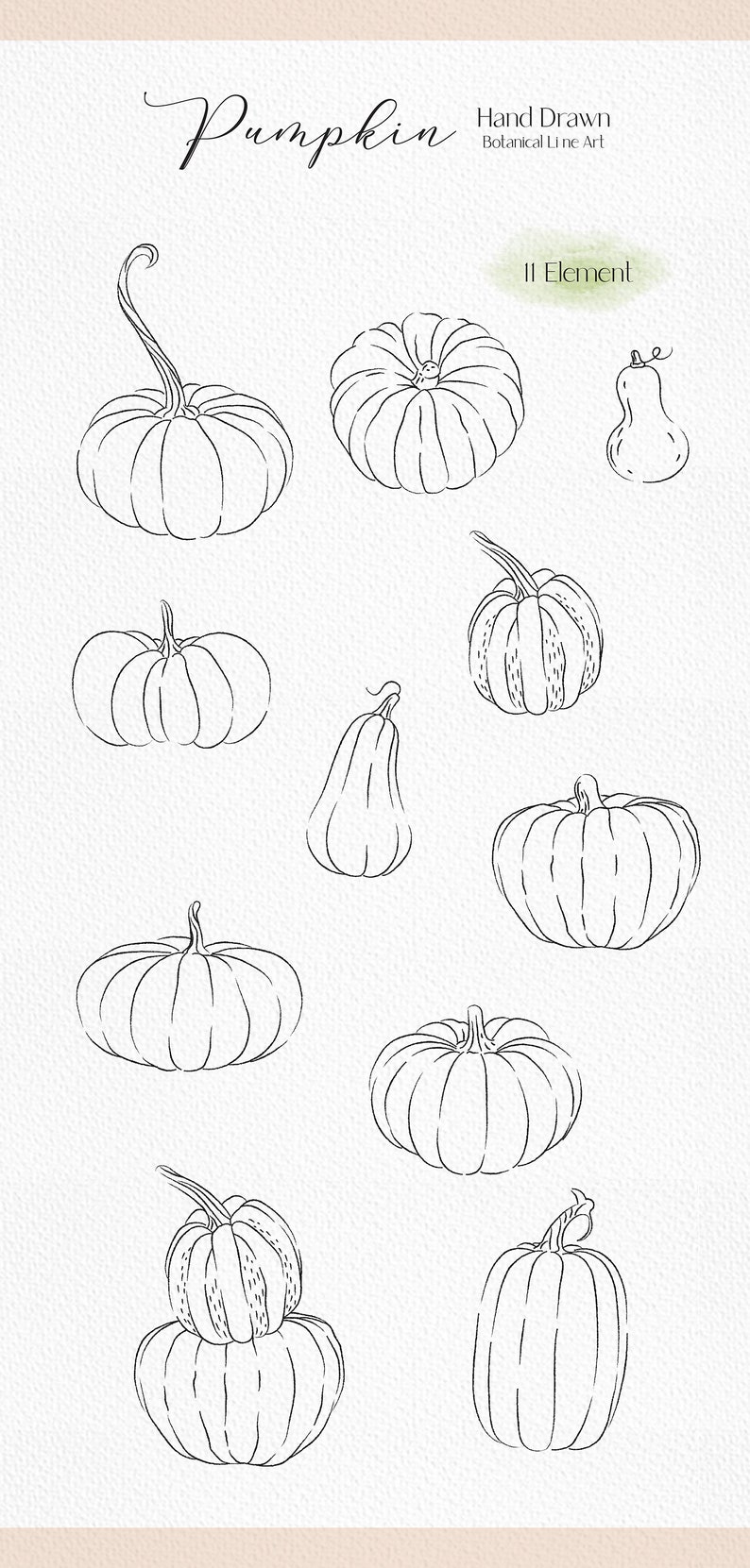 Pumpkin Clipart Fall Clipart Thanksgiving Png Autumn Png Fall Pumpkin ...
