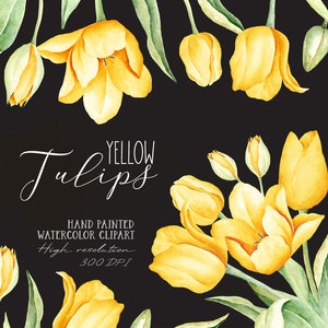 Spring Yellow Tulip Watercolor Clip Art/ Yellow Tulip png/ Floral Clipart/ Botanical Clipart/ Watercolor Flowers Bouquet image 2