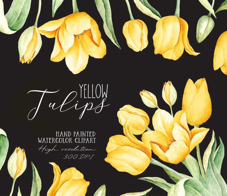 Spring Yellow Tulip Watercolor Clip Art/ Yellow Tulip png/ Floral Clipart/ Botanical Clipart/ Watercolor Flowers Bouquet image 2