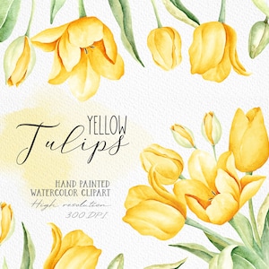Lente gele tulp aquarel clip art/gele tulp PNG/Floral clipart/botanische clipart/aquarel bloemen boeket