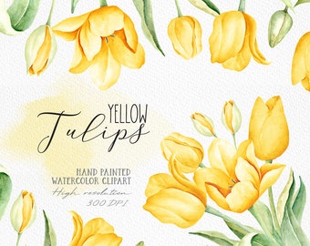 Spring Yellow Tulip Watercolor Clip Art/ Yellow Tulip png/ Floral Clipart/ Botanical Clipart/ Watercolor Flowers Bouquet