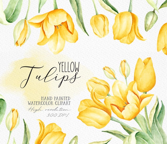 Spring Yellow Tulip Watercolor Clip Art/ Yellow Tulip png/ Floral Clipart/ Botanical Clipart/ Watercolor Flowers Bouquet