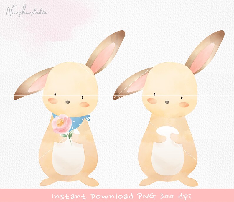 Cute Rabbit Png/ Bunny Png/ Rabbit Sublimation/ Clipart Rabbit/ Rabbit Clip Art/ Watercolor Bunny/ Bunny Shirt Design/ Bunny Sublimation image 1