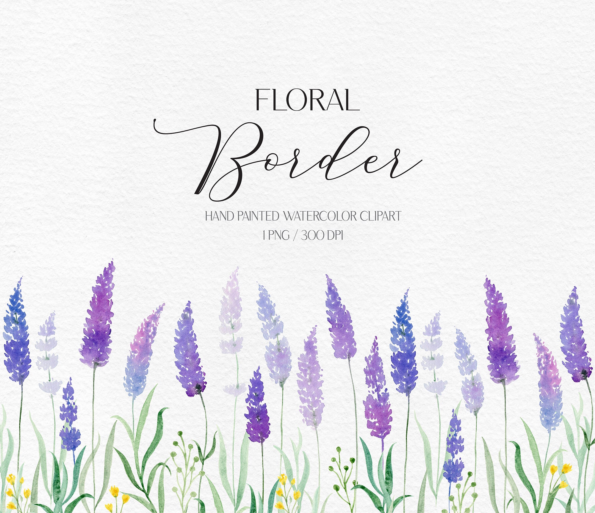Lavender Flower Border Design