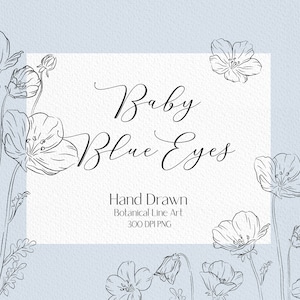 Lijntekening baby blauwe ogen clip art wilde bloem png botanische clipart bloemencontour png bloemboeket png bloem lijn kunst