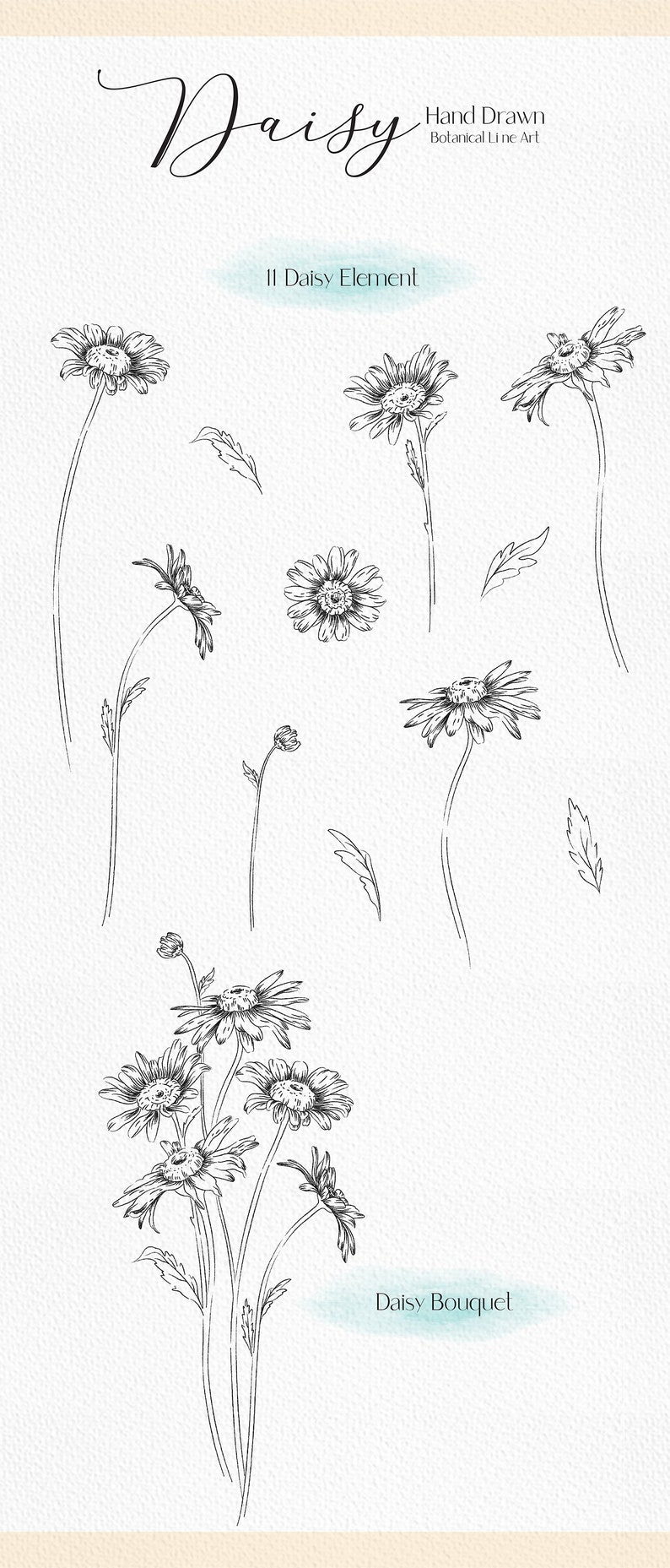 May include: A set of 11 hand-drawn daisy elements, including individual flowers, stems, and leaves. The daisies are drawn in a simple, elegant style, perfect for adding a touch of nature to your designs.  The text "Daisy Element" is written in blue above the daisies.