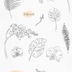 May include: A set of 11 hand-drawn line art illustrations featuring orchids and tropical leaves. The illustrations are in black and white and have a delicate, botanical style. The set includes a variety of orchid flowers, leaves, and stems.