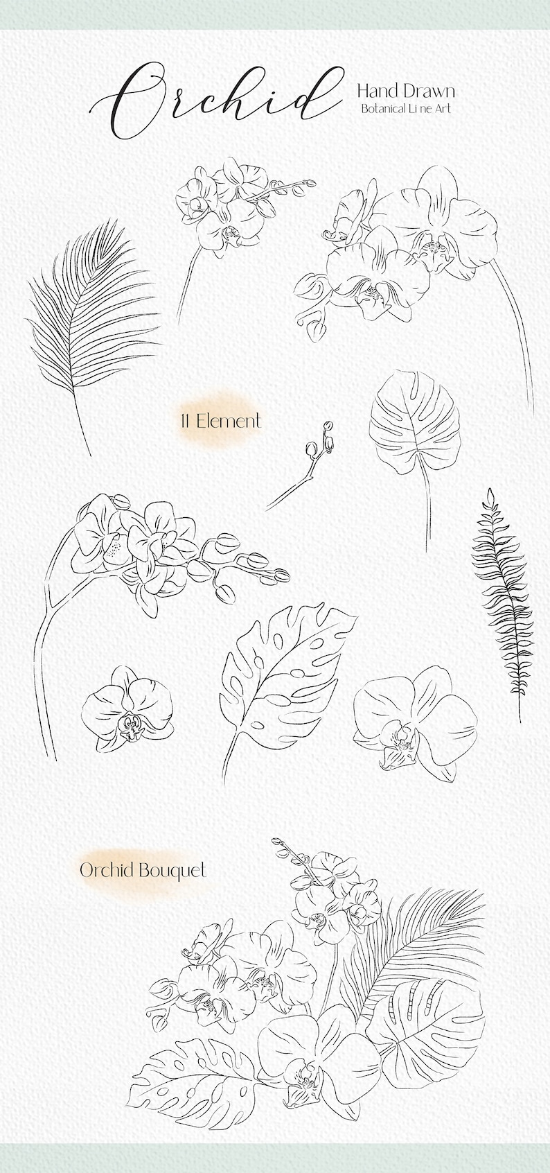 May include: A set of 11 hand-drawn line art illustrations featuring orchids and tropical leaves. The illustrations are in black and white and have a delicate, botanical style. The set includes a variety of orchid flowers, leaves, and stems.