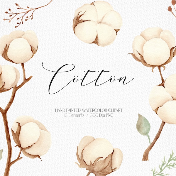 Watercolor cotton clipart  Cotton PNG Botanical clipart Flower clipart Floral cotton balls Wedding invitation PNG files