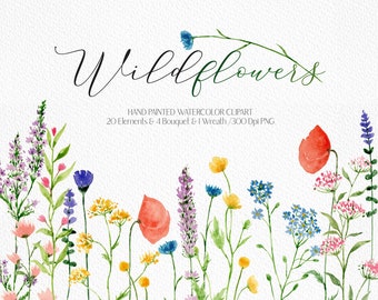 May include: Watercolor clipart featuring a collection of wildflowers in shades of pink, purple, blue, yellow, and red. The flowers are arranged in a bouquet-like formation, with stems and leaves extending outward. The image is labeled "Wildflowers" and includes the text "HAND PAINTED WATERCOLOR CLIPART 20 Elements & 4 Bouquet & 1 Wreath/300 Dpi PNG".