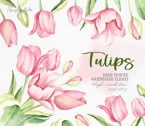 Spring  Pink Tulip Watercolor Clip Art/ Floral Clipart/ Botanical Clipart/ Watercolor Flowers Bouquet / Floral wedding Decor