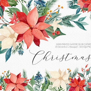 Aquarela Clipart De Natal Vermelho Branco Poinsétia Buquê De Flores Aquarela Flor Clipart Buquê De Inverno Elementos De Natal PNG