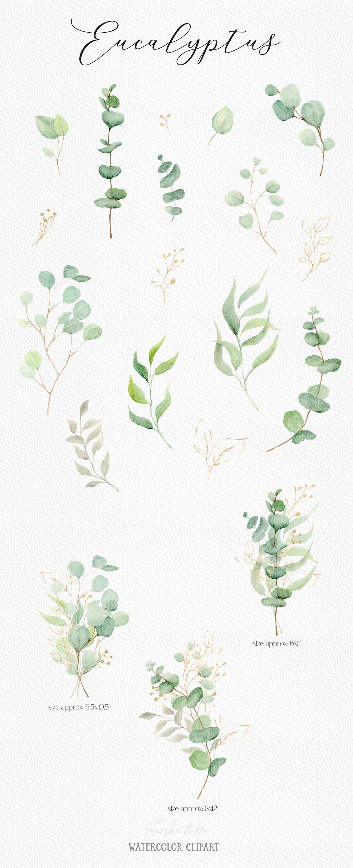Watercolor Eucalyptus Clipart Greenery Clipart Green and Gold ...