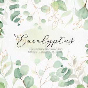 Aquarell Eukalyptus Clipart Grün und Gold Eukalyptus Bouquet Grüne Blätter