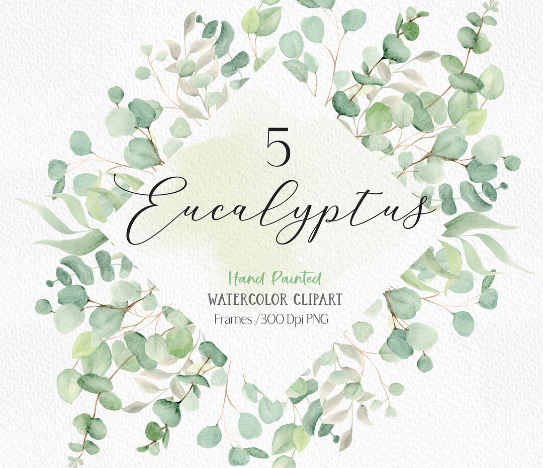 Watercolor Eucalyptus Clipart Watercolor Greenery Eucalyptus Frame Clip ...