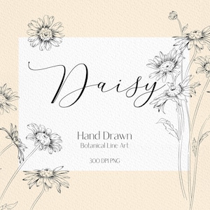 May include: Black and white line art illustration of daisies. The image includes the text "Daisy" and "Hand Drawn Botanical Line Art 300 DPI PNG".