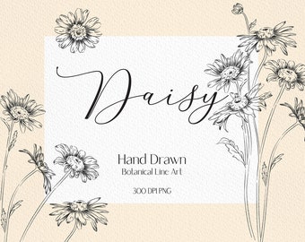 Lijntekening daisy clip art daisy bloem png botanische clipart daisy png bloem boeket png bruiloft bloemen clipart