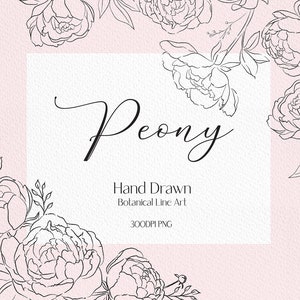 線画牡丹クリップアート、植物クリップアート、牡丹PNG、花輪PNG、結婚式の花クリップアート、花の線画、結婚式の招待状