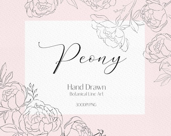 Line drawing  peony clip art botanical clipart peony png  floral wreath png wedding flowers clipart flower line drawing wedding invitation