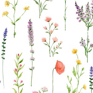 Watercolor Wildflower Pattern Png Wildflower Clip Art Wildflower Print ...