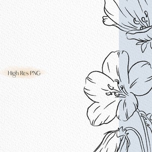 May include: A black and white line drawing of flowers with delicate petals. The flowers are drawn in a simple, elegant style, and the background is a light blue.