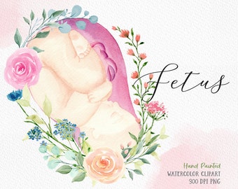 Fetus watercolor clipart placenta flowers art newborn clipart baby shower clipart