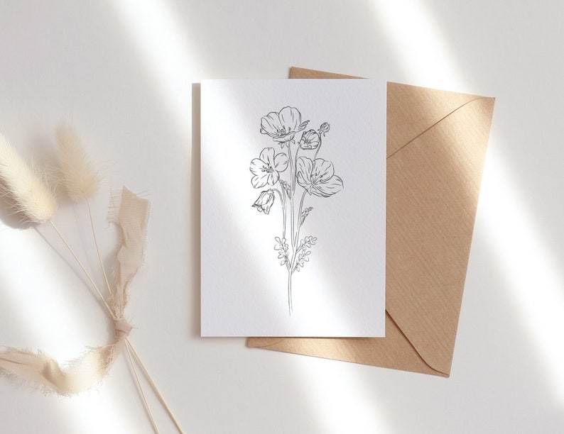 Line drawing baby blue eyes clip art wildflower png botanical clipart floral outline png flower bouquet png flower line art image 4