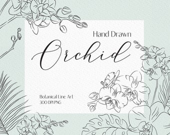 Line drawing orchid clip art tropical png flower bouquet png orchid png  flower png flower line drawing wedding invitation