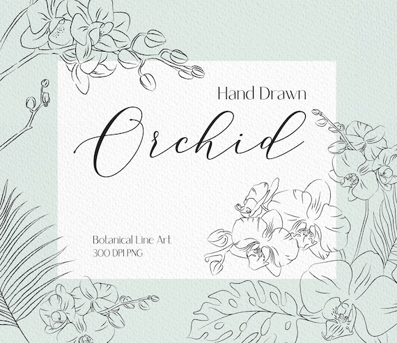 Line drawing orchid clip art tropical png flower bouquet png orchid png  flower png flower line drawing wedding invitation