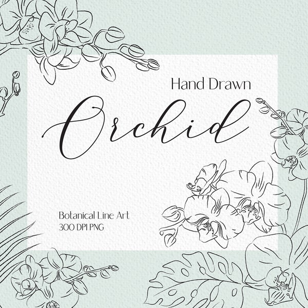 Dessin au trait orchidée clip art tropical png bouquet de fleurs png orchidée png fleur png ligne de fleurs dessin invitation de mariage