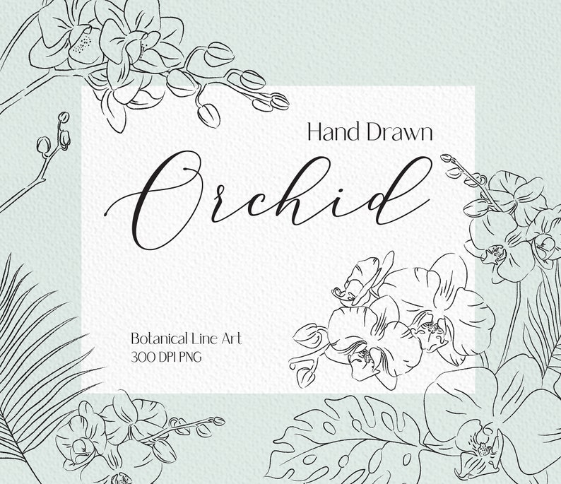 May include: Hand-drawn line art illustration of orchids. The image includes multiple orchid flowers, leaves, and stems. The text "Hand Drawn Orchid" and "Botanical Line Art 300 DPI PNG" is included in the image.