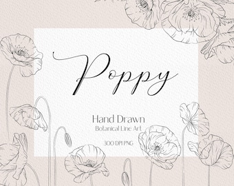 Poppy clipart poppy botanical drawing poppy line drawing simple wildflower png botanical clipart floral wreath png flower line drawing
