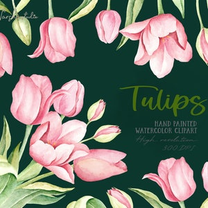 May include: Watercolor illustration of pink tulips with green leaves and stems on a dark green background. The text "Tulips" is written in a cursive font with the words "Hand Painted Watercolor Clipart" and "High Resolution 300 DPI" below it.