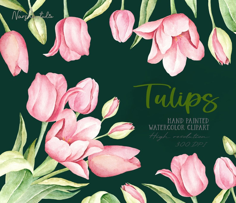 May include: Watercolor illustration of pink tulips with green leaves and stems on a dark green background. The text "Tulips" is written in a cursive font with the words "Hand Painted Watercolor Clipart" and "High Resolution 300 DPI" below it.