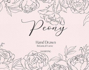 Line drawing  peony clip art botanical clipart peony png  floral frame png wedding flowers clipart flower line drawing wedding invitation