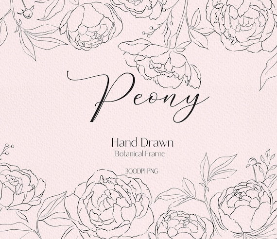 Line drawing  peony clip art botanical clipart peony png  floral frame png wedding flowers clipart flower line drawing wedding invitation