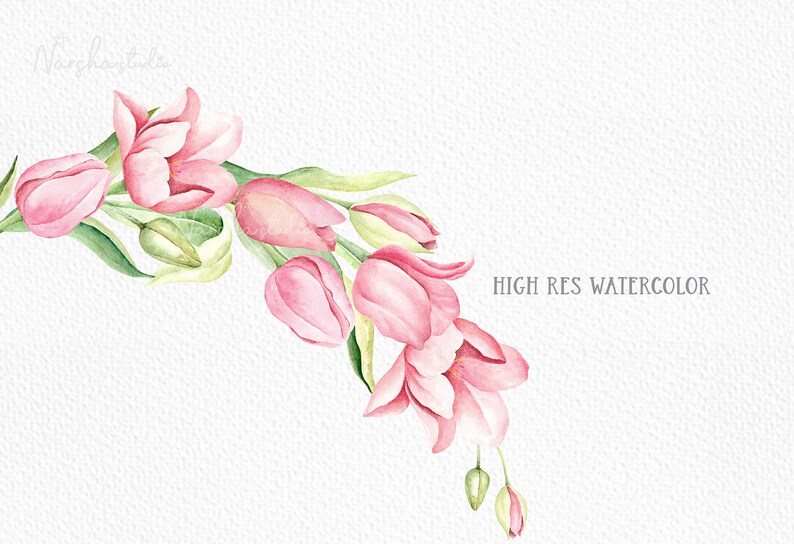 May include: Watercolour painting of a bouquet of pink tulips with green leaves and stems. The tulips are arranged in a cascading pattern, with the blooms facing towards the right side of the image. The background is a light white with a subtle texture.